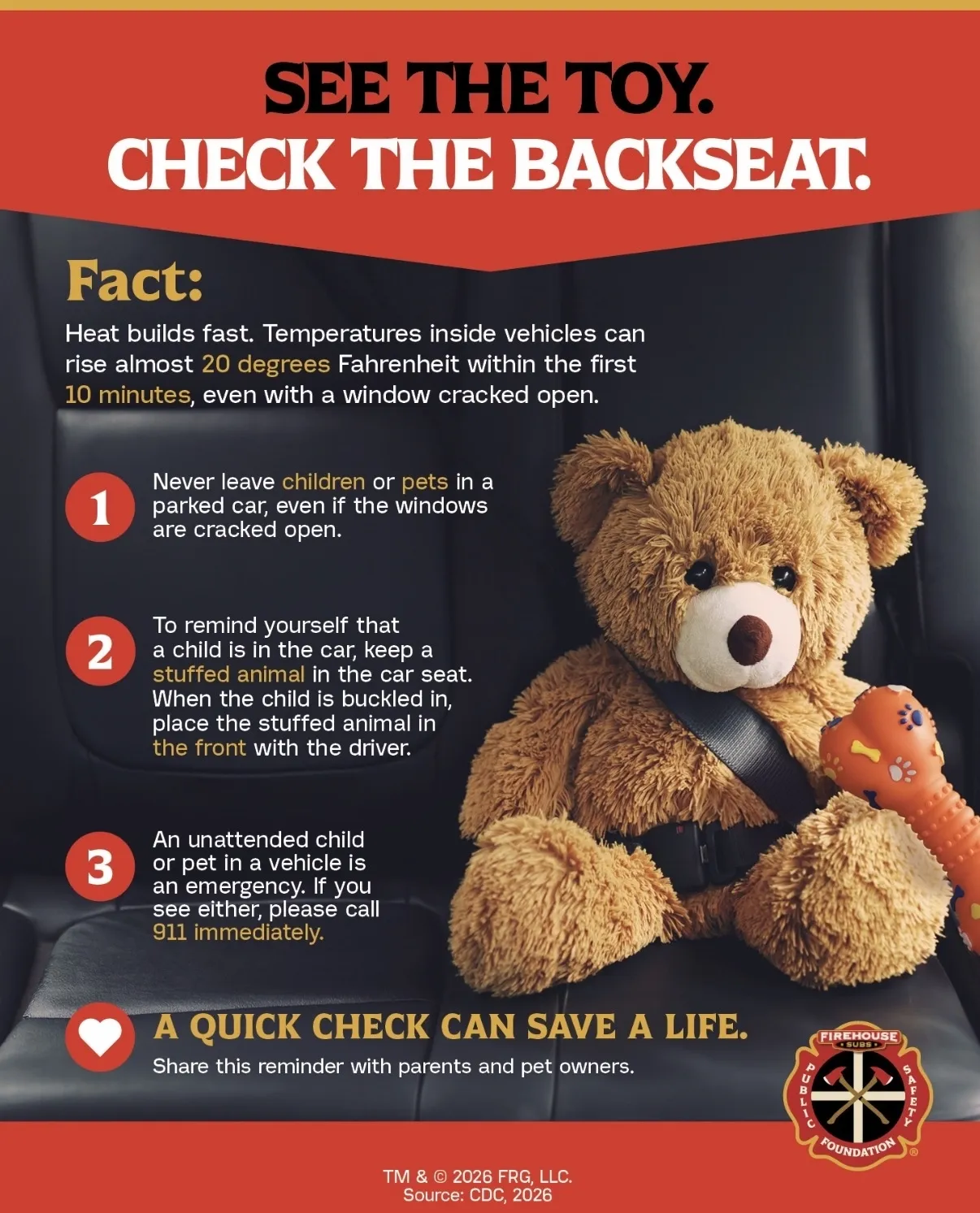 Check the Back Seat Safety Tip