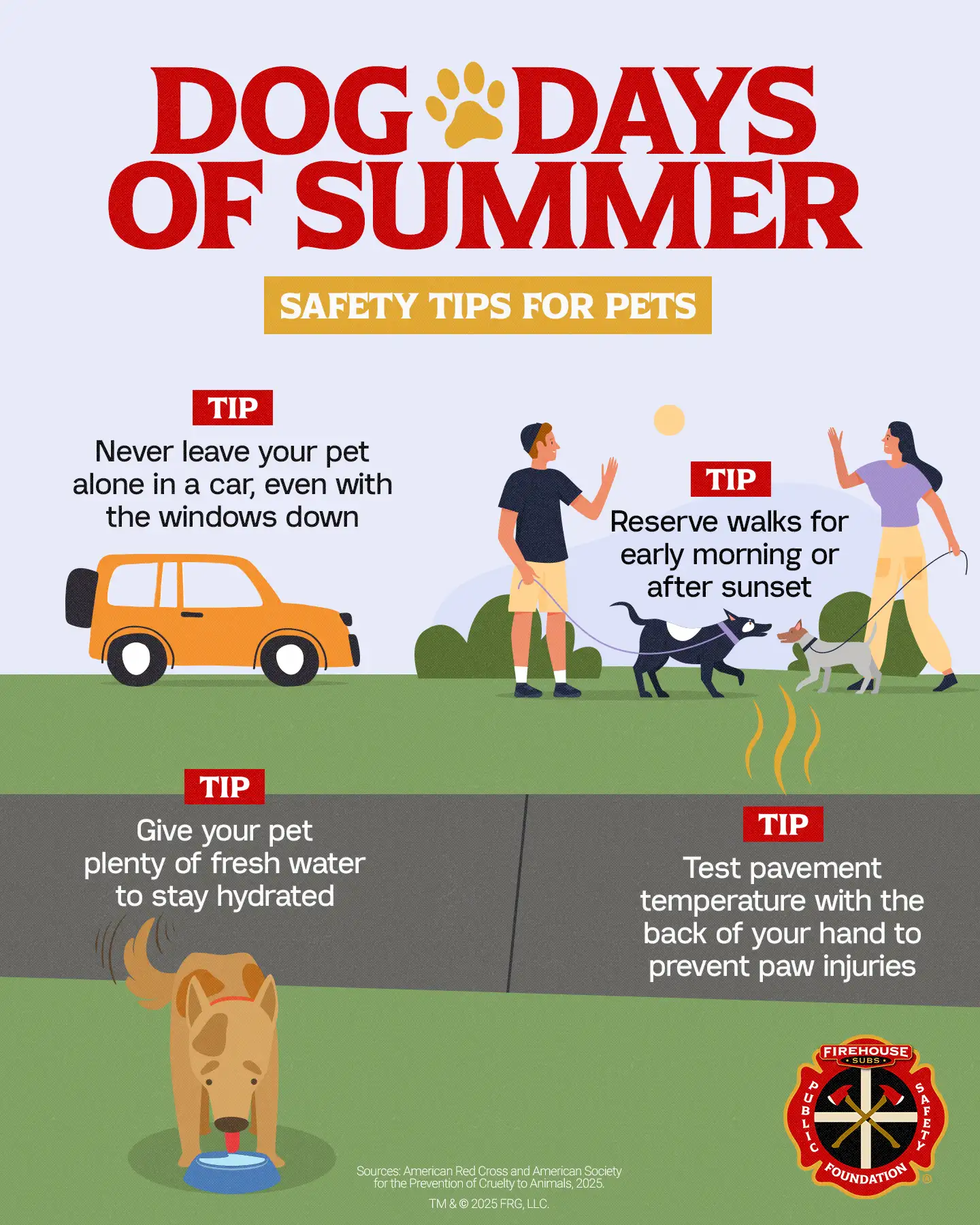Dog Days of Summer